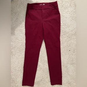 Pixie Dress Pants